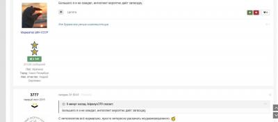 l2.jpg