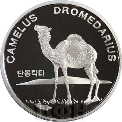Корея 10 вон 2016 год «Верблюд» (реверс).jpg