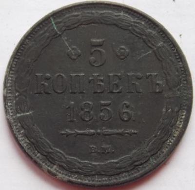 12548672 040.jpg