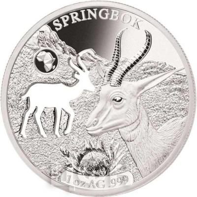 Джибути 250 франков 2018 SPRINGBOK (реверс).jpg