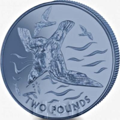 Британские Арктические территории 2 фунта 2018 год «Голубой буревестник» (реверс).jpg