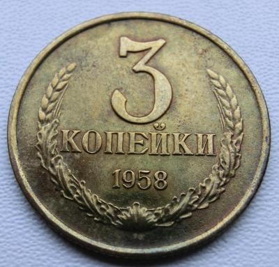 CIMG9521.JPG