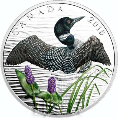 Канада 10 долларов 2018  «Гагара» (реверс).jpg