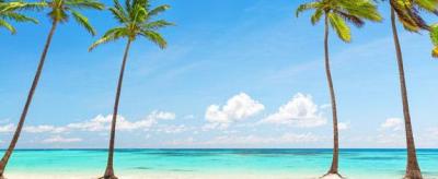 Sweet Caribean Island.jpg