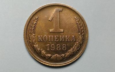 IMAG0921.jpg