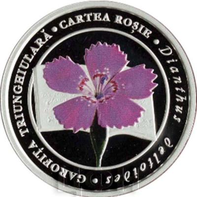 Молдова 50 леев 2017 год «Гвоздика травянка»  (реверс).jpg