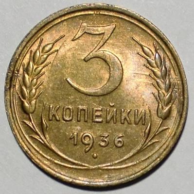 321.JPG