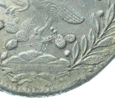 20150207_MEX8Reales1835ZsOMAVDetails2.jpg