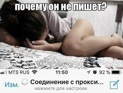 246117031_49144.jpg
