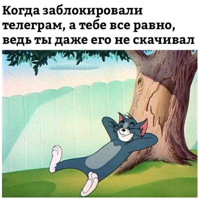 smeshnye-kartinki-s-nadpisjami-0.jpg