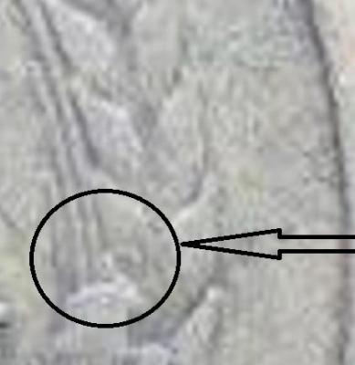 111.thumb.jpg.1aeddb8cf546e3bf7d47c8da7413e0be.thumb.jpg.a65d1355feeef5470d53ff8f3b1f8523.jpg