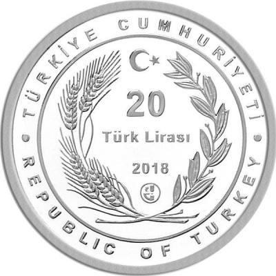 Турция 20 лир 2018 года (аверс).jpg