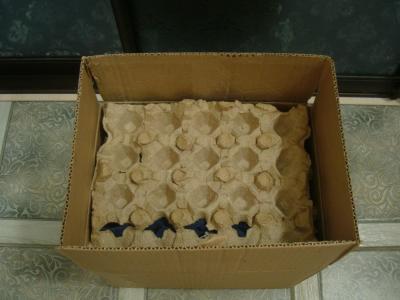 DSC02425.JPG
