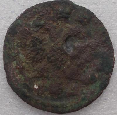 DSCN2295.JPG