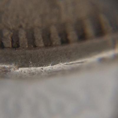 53cb7417-123b-49b0-bb97-d829d8fde933.thumb.jpeg.5afc22a4deb92a011153c38db4aa30e7.jpeg
