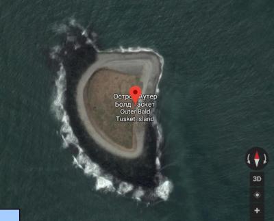 baldonia_1.thumb.jpg.1479127e29f8454e28111657b80bc47b.jpg