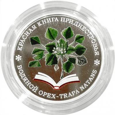 орех1.JPG