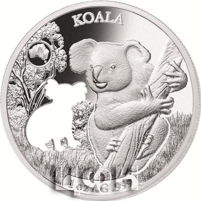 Соломоновы острова 5 долларов 2019 год «KOALA» (реверс).jpg