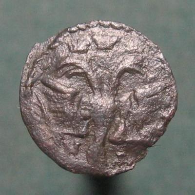 1-golushka1721-2.jpg