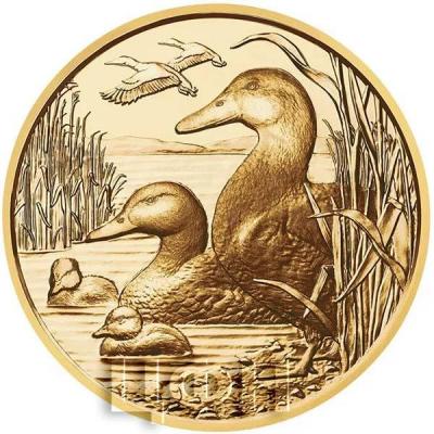 Австрия 100 евро 2018 год «Утка»  (реверс).jpg