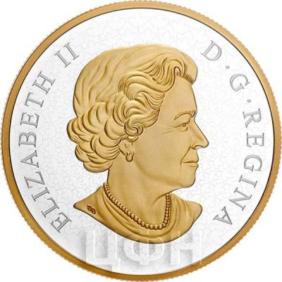 Канада 100 долларов (аверс).jpg