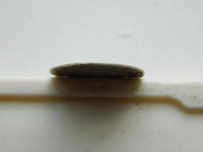 image (8).jpg