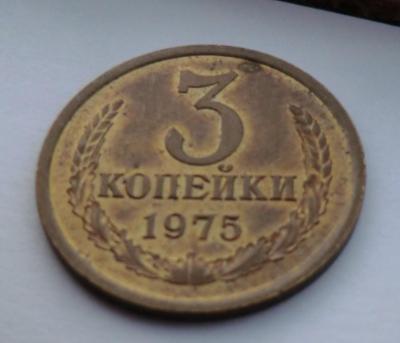 CIMG6694.JPG