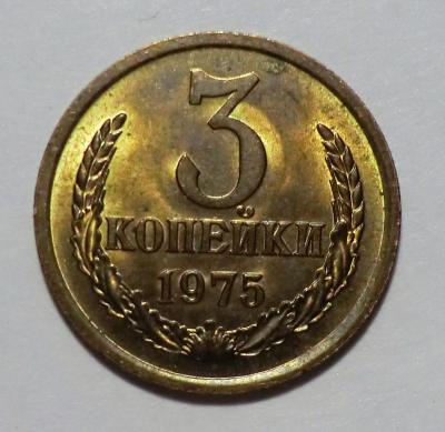 CIMG6695.JPG