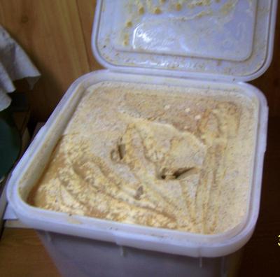 100_9186.JPG