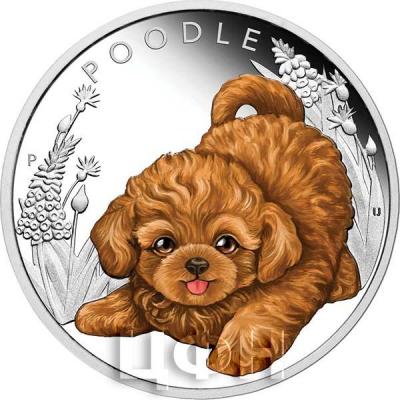 Тувалу 50 центов  2018 год «POODLE» (реверс).jpg