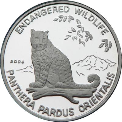 korea__2004_panthera_pardus_orientalis_rvr_1200h1200.thumb.jpg.42420c099d07403c28d172b8ab0ff732.jpg