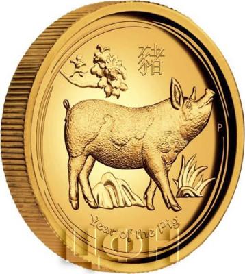 Австралия 30 долларов 2019 «Год свиньи» (реверс).jpg