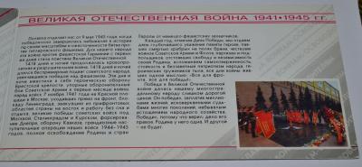 sv503.jpg