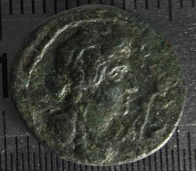 maroniya.jpg.1fd7169c84b9acd8317dbc1193c3ef1b.jpg