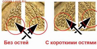 shema.thumb.jpg.d7e0d96ed9688e2911441ade21df4cfd.jpg