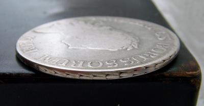 SI856089.JPG