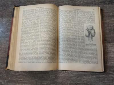 1e599050-6cad-42e0-ba0a-246d8542ffdc.thumb.jpeg.6b0092f4652133df0364607e946c74a9.jpeg