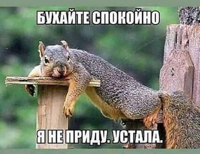 !000монетка 000.1 ааа. 0 м1.а2 ааа1 02.1234567.jpg
