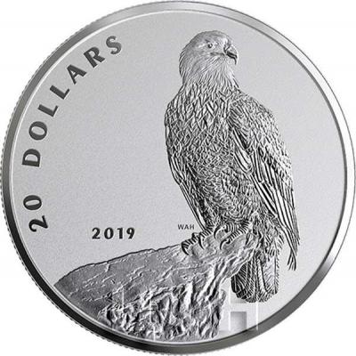 Канада 20 долларов 2019 год «Белоголовый орлан» (реверс).jpg