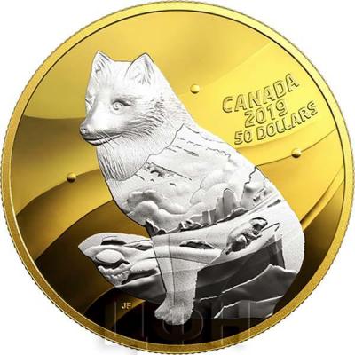 Канада 50 долларов 2019 год «Arctic Fox» (реверс).jpg