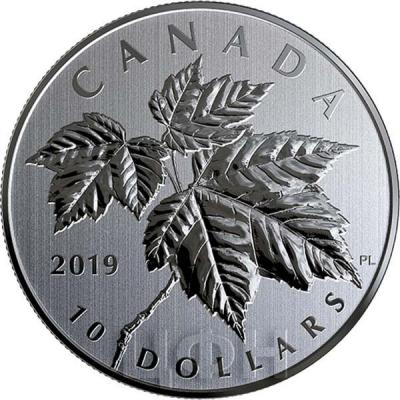 Канада 10 долларов 2019 год «Кленовые листья» (реверс).jpg