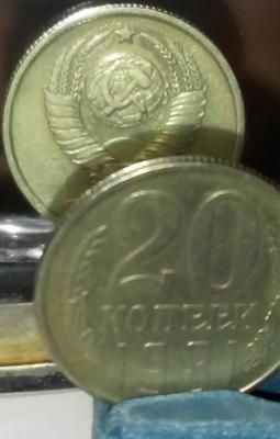 20190226220628-1.jpg