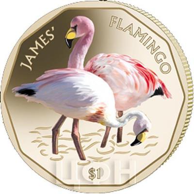 1 Британские Виргинские острова 1 доллар 2019 год «FLAMINGO» (реверс)).jpg