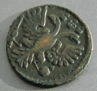 DSCN6529.JPG