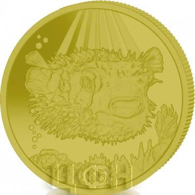 Британские Виргинские Острова 5 долларов 2019 год  «Рыба – дикобраз» (реверс).jpg