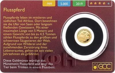 Сенегал 250 франков 2019 год «Бегемот» (реверс).jpg