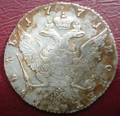 5169431667.jpg