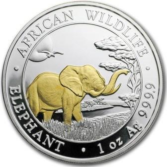 somali_100_shillingov_2019_slon_pozolota_(1).jpg.a2ada150c6aa9995a069195ab1e892fc.jpg