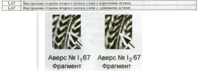 2._adrianov.thumb.jpg.5cff13001d6a09aa152bca62dfd43c2d.jpg
