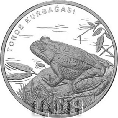 2019, 20 лир Турции «TOROS KURBAĞASI» (реверс).jpg